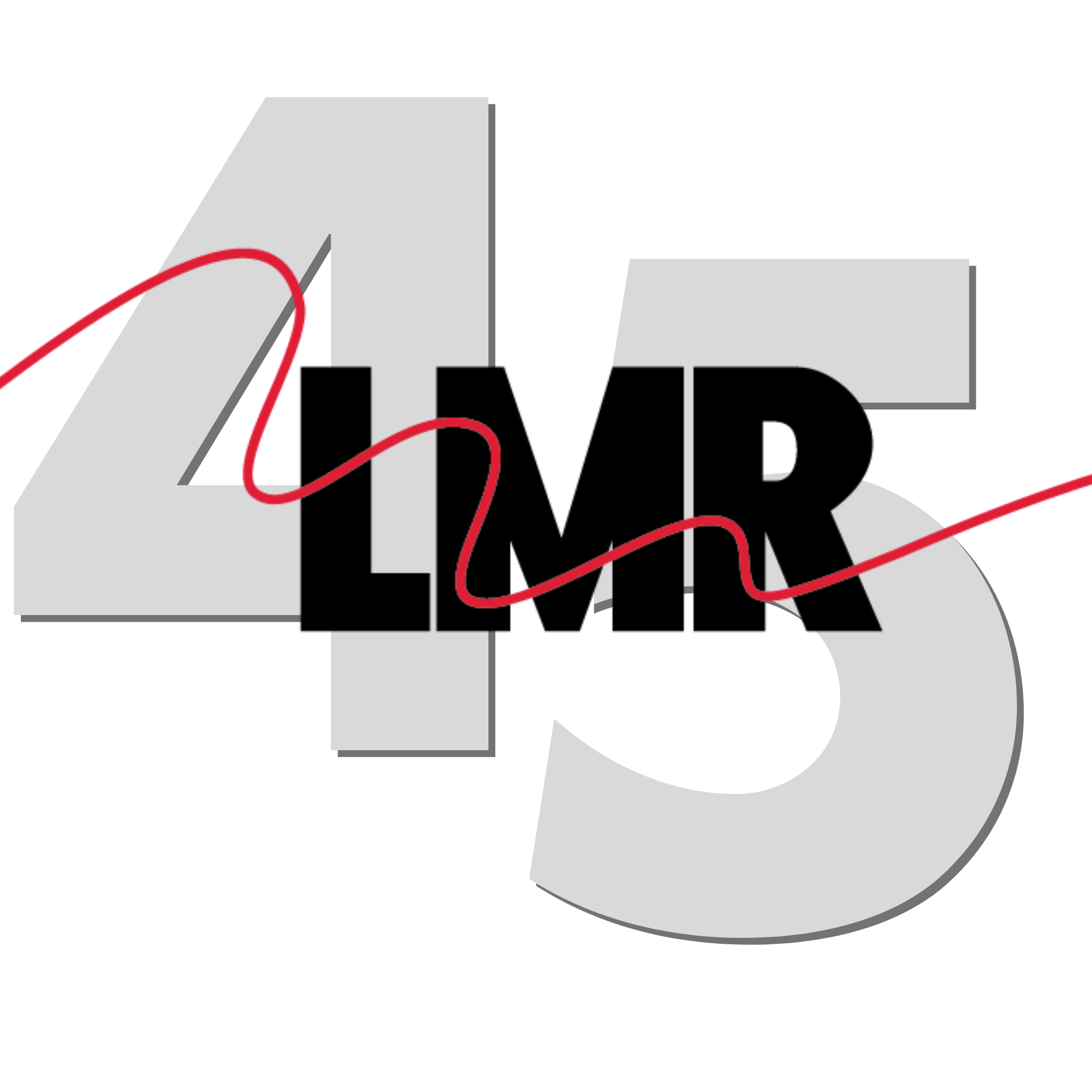 Leadership Metro Richmond Inc logo